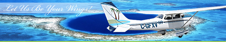 Javier's Flying Service - Let Us Be Your Wings!